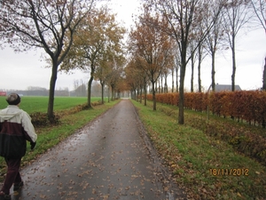 Loenhout wandelen 18-11-2012 029