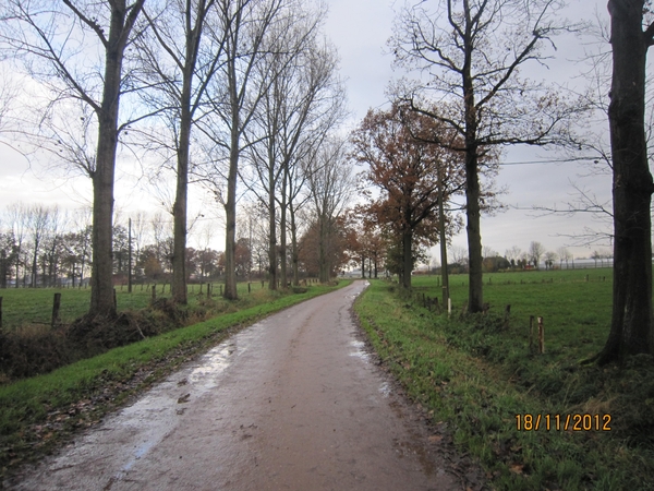 Loenhout wandelen 18-11-2012 036