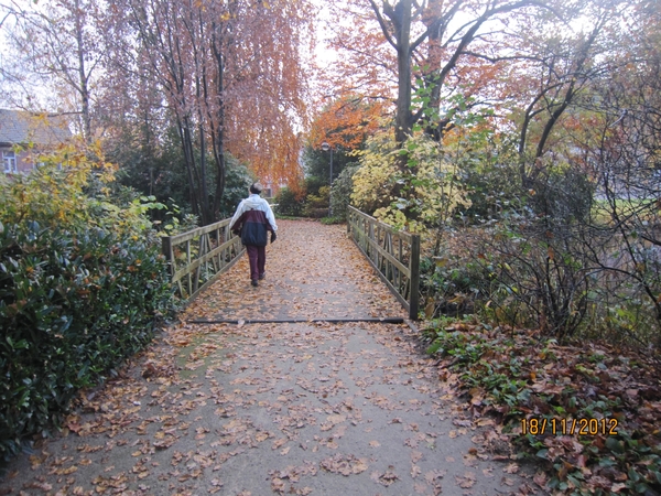 Loenhout wandelen 18-11-2012 059