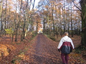 Loenhout wandelen 18-11-2012 079