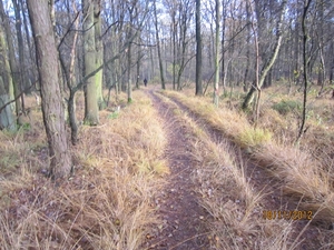 Loenhout wandelen 18-11-2012 096