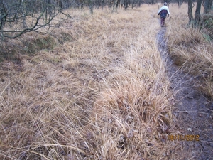 Loenhout wandelen 18-11-2012 100