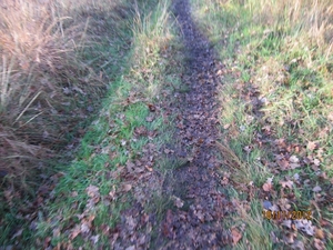 Loenhout wandelen 18-11-2012 113