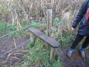 Loenhout wandelen 18-11-2012 123
