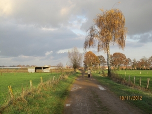 Loenhout wandelen 18-11-2012 133
