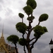 Thailand - Bangkok - Wat Pho & Grand palace  mei 2009 (59)