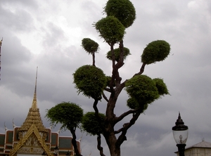 Thailand - Bangkok - Wat Pho & Grand palace  mei 2009 (59)