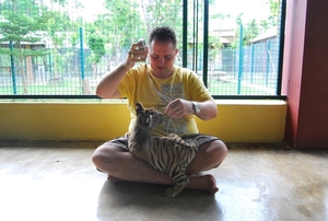 Thailand - Chiang mai Tiger Kingdom day 1 mei 2009 (20)