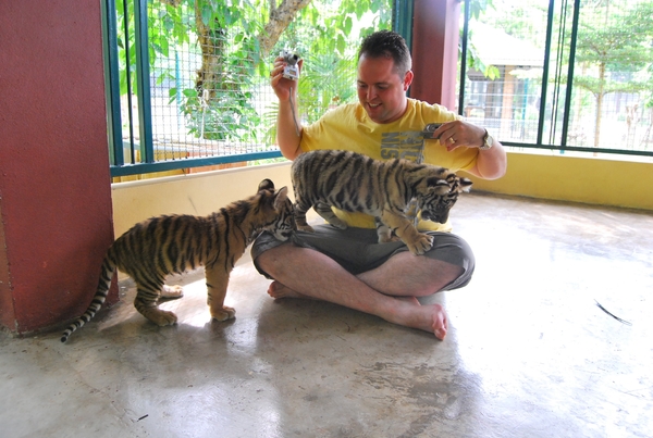 Thailand - Chiang mai Tiger Kingdom day 1 mei 2009 (24)