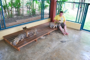 Thailand - Chiang mai Tiger Kingdom day 1 mei 2009 (32)