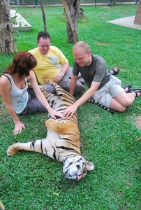 Thailand - Chiang mai Tiger Kingdom day 1 mei 2009 (50)