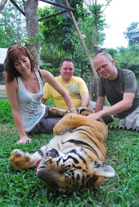 Thailand - Chiang mai Tiger Kingdom day 1 mei 2009 (52)