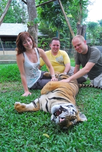 Thailand - Chiang mai Tiger Kingdom day 1 mei 2009 (53)