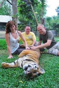 Thailand - Chiang mai Tiger Kingdom day 1 mei 2009 (54)