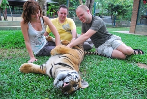 Thailand - Chiang mai Tiger Kingdom day 1 mei 2009 (55)
