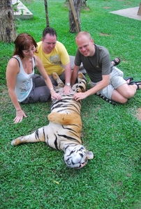 Thailand - Chiang mai Tiger Kingdom day 1 mei 2009 (57)