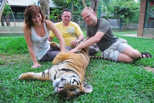 Thailand - Chiang mai Tiger Kingdom day 1 mei 2009 (58)
