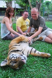 Thailand - Chiang mai Tiger Kingdom day 1 mei 2009 (61)