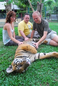 Thailand - Chiang mai Tiger Kingdom day 1 mei 2009 (62)