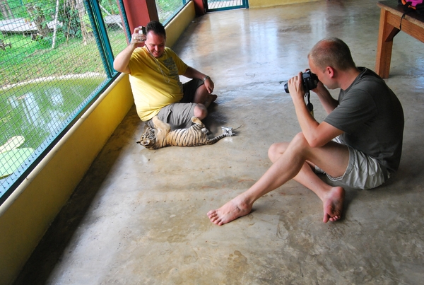 Thailand - Chiang mai Tiger Kingdom day 1 mei 2009 (7)