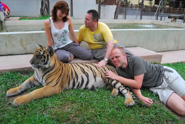 Thailand - Chiang mai Tiger Kingdom day 1 mei 2009 (74)