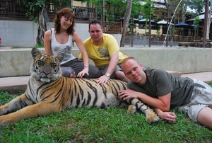 Thailand - Chiang mai Tiger Kingdom day 1 mei 2009 (75)