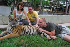 Thailand - Chiang mai Tiger Kingdom day 1 mei 2009 (76)