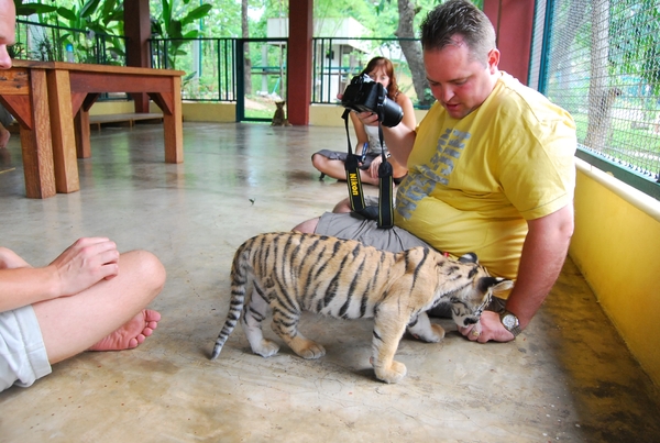 Thailand - Chiang mai Tiger Kingdom day 1 mei 2009 (8)