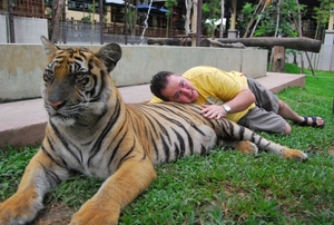 Thailand - Chiang mai Tiger Kingdom day 1 mei 2009 (81)