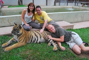Thailand - Chiang mai Tiger Kingdom day 1 mei 2009 (82)
