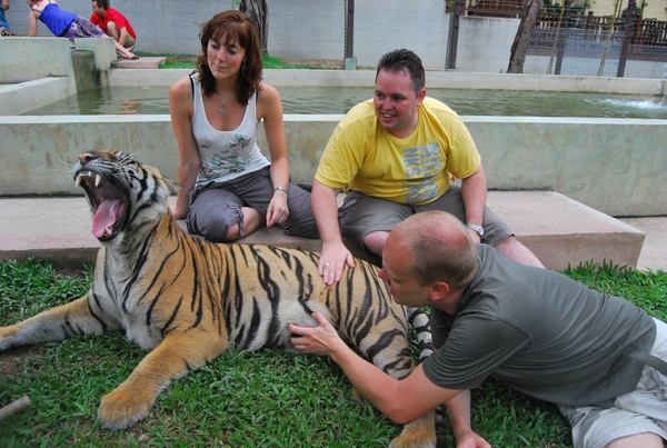 Thailand - Chiang mai Tiger Kingdom day 1 mei 2009 (84)