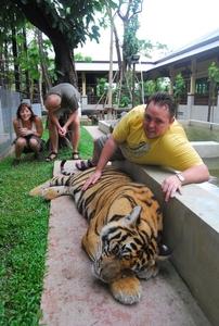 Thailand - Chiang mai Tiger Kingdom day 1 mei 2009 (95)