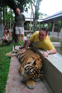 Thailand - Chiang mai Tiger Kingdom day 1 mei 2009 (96)