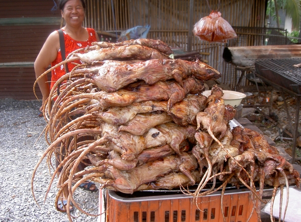 Thailand - Phitsanulok Nightmarket with flying vegetables mei 200