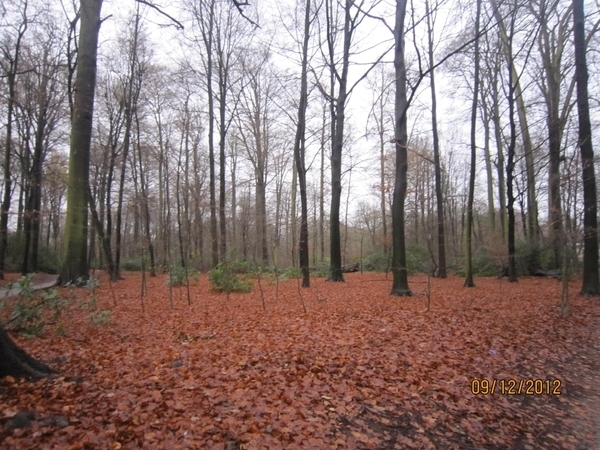 rivierenhof wandelingske 9-12-2012 001