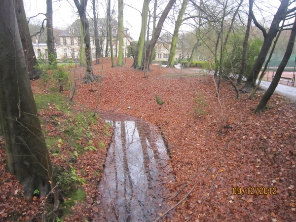 rivierenhof wandelingske 9-12-2012 003