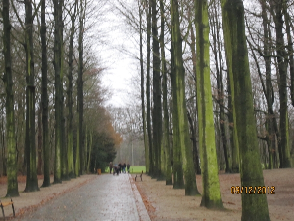 rivierenhof wandelingske 9-12-2012 005