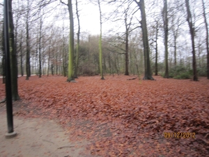 rivierenhof wandelingske 9-12-2012 007