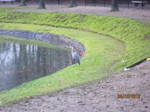 rivierenhof wandelingske 9-12-2012 008