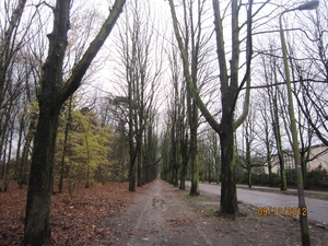 rivierenhof wandelingske 9-12-2012 016