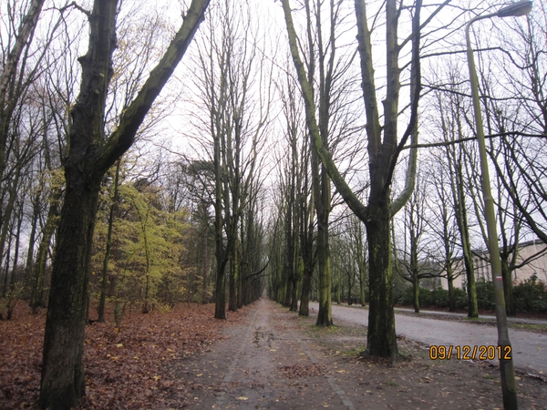 rivierenhof wandelingske 9-12-2012 016