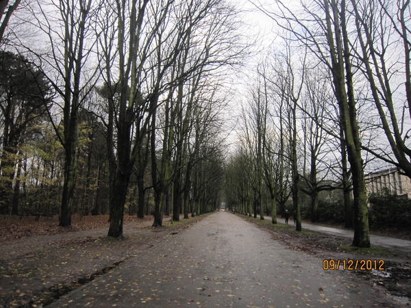 rivierenhof wandelingske 9-12-2012 017