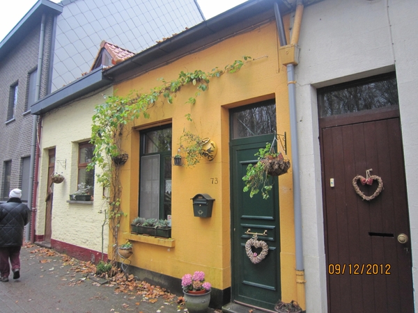 rivierenhof wandelingske 9-12-2012 018