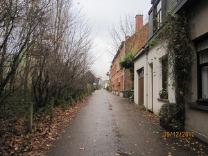 rivierenhof wandelingske 9-12-2012 019