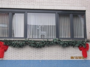 rivierenhof wandelingske 9-12-2012 021