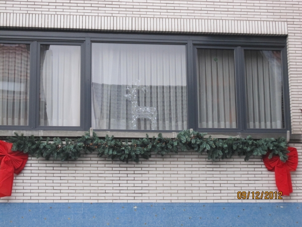 rivierenhof wandelingske 9-12-2012 021