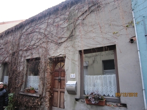 rivierenhof wandelingske 9-12-2012 022