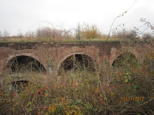 Borsbeek en rivierenhof 15-11-2012 039