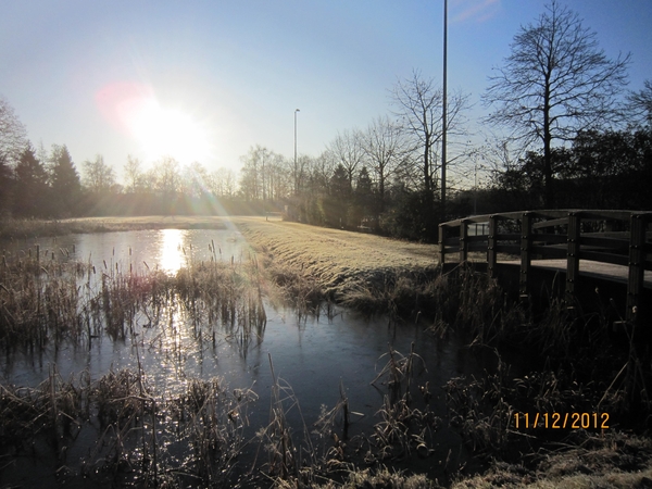 11-12-2012 Schoten Zeurt 002