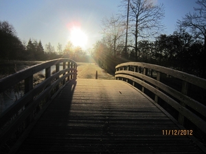 11-12-2012 Schoten Zeurt 003